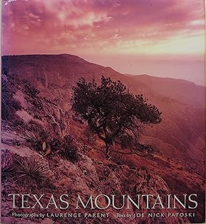 Image du vendeur pour Texas Mountains mis en vente par Newbury Books