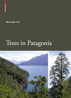 Trees in Patagonia.