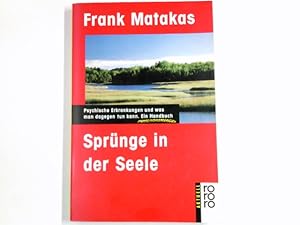 Bild des Verkufers fr Sprnge in der Seele : psychische Erkrankungen und was man dagegen tun kann ; ein Handbuch. Unter Mitarb. von Nina Valeska Tschierse / Rororo ; 12516 : rororo aktuell zum Verkauf von Antiquariat Buchhandel Daniel Viertel