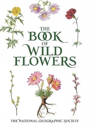 Seller image for Book of Wild Flowers (Paperback) for sale by Grand Eagle Retail