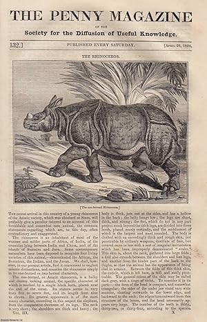 Bild des Verkufers fr The Rhinoceros; The Cathedral of Exeter; The Gondola (rowing boat), etc. Issue No. 132, April 26th, 1834. A complete original weekly issue of the Penny Magazine, 1834. zum Verkauf von Cosmo Books