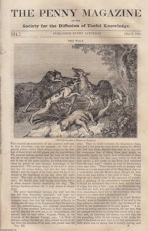 Bild des Verkufers fr The Wolf (wolf hunt); Cemeteries (Grand Cairo); The Loss of The Royal George, etc. Issue No. 134, May 3rd, 1834. A complete original weekly issue of the Penny Magazine, 1834. zum Verkauf von Cosmo Books