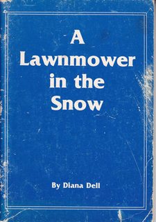 A Lawnmower In The Snow