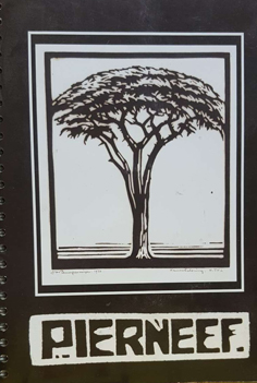 Absa's Pierneef Collection