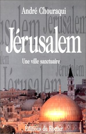Image du vendeur pour JERUSALEM. Une ville sanctuaire mis en vente par MULTI BOOK