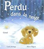 Seller image for Perdu Dans La Neige for sale by RECYCLIVRE