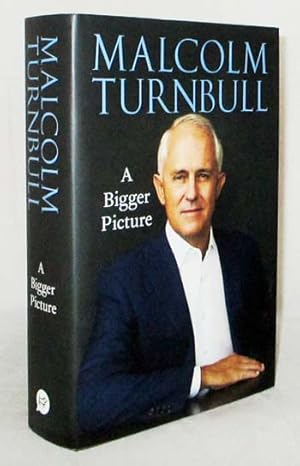Seller image for A Bigger Picture for sale by Adelaide Booksellers