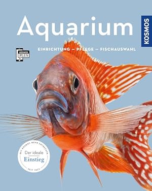 Aquarium Einrichtung, Pflege, Fischauswahl