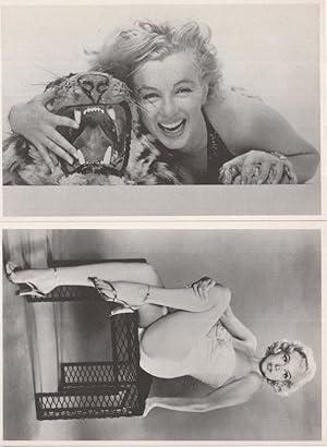 Marilyn Monroe With Giant Toy Tiger Lion 2x Real Photo Postcard s