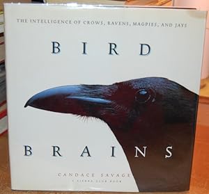 Immagine del venditore per Bird Brains The Intelligence of Crows, Ravens, Magpies, and Jays A Sierra Club Book venduto da HORSE BOOKS PLUS LLC