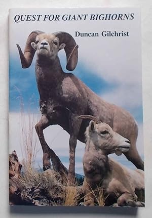 Quest for giant bighorns.