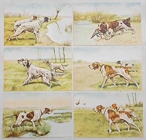 Serie di 6 cartoline originali di Caccia e Cani da Caccia di Mario Norfini.