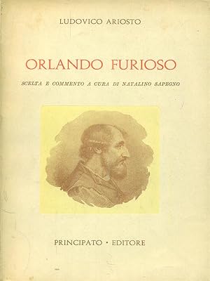 Bild des Verkufers fr Orlando furioso zum Verkauf von Librodifaccia