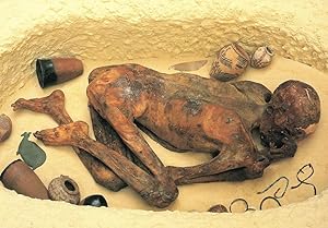 Sand Dried Egyptian Body Corpse Gebelin 3300 BC British Museum Postcard