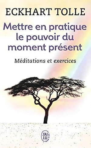 Image du vendeur pour Mettre En Pratique Le Pouvoir Du Moment (Bien Etre) (French Edition) [FRENCH LANGUAGE - Soft Cover ] mis en vente par booksXpress