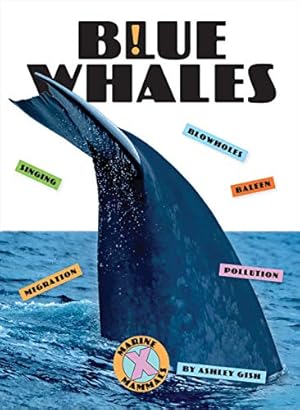 Bild des Verkufers fr Blue Whales (X-Books: Marine Mammals) [Soft Cover ] zum Verkauf von booksXpress