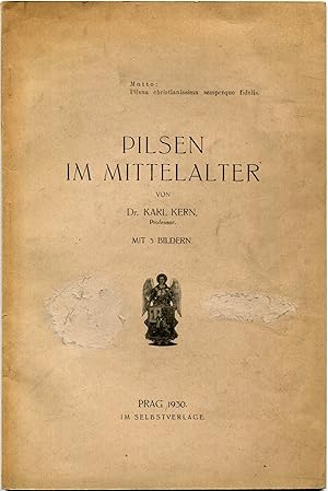 Pilsen im Mittelalter