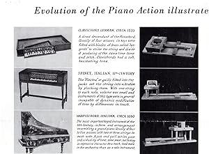 Evolution of the Piano Action - Illustrated from Models Made By Steinway & Sons [POSTER]