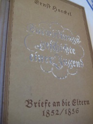 Bild des Verkufers fr Briefe an die Eltern 1852/1856 Entwicklungsgeschichte einer Jugend zum Verkauf von Alte Bcherwelt