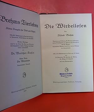 Immagine del venditore per Brehms Tierleben, Band 1, Die Wirbellosen, kleine Ausgabe fr Volk und Schule, unvernderter Neudruck aus 1919 venduto da biblion2