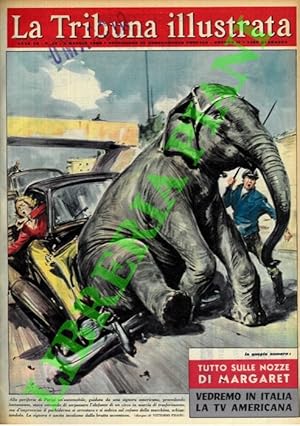 A Parigi elefante si siede sul cofano di un'auto distruggendolo.