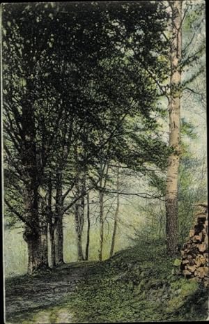 Ansichtskarte / Postkarte Dampierre Yvelines, Vue de la forêt