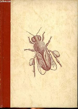 Seller image for Vie et Moeurs des abeilles (Aus dem leben der bienen) for sale by Le-Livre