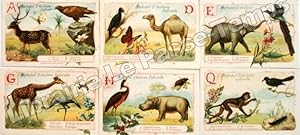 Seller image for Images (sans publicit), Chromos / Srie ALPHABET D'HISTOIRE NATURELLE - A, D, E, G, H, Q. for sale by Jean-Paul TIVILLIER