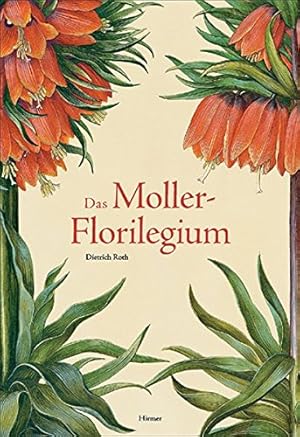 Das Moller-Florilegium: Hans Simon Holtzbeckers Blumenalbum für den Bürgermeister Barthold Moller.