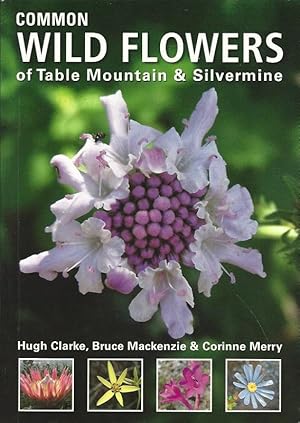 Seller image for Common Wild Flowers of Table Mountain & Silvermine. for sale by Lewitz Antiquariat