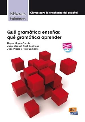 Imagen del vendedor de Que Gramatica Ensenar : Que Gramatica Aprender? a la venta por AHA-BUCH GmbH