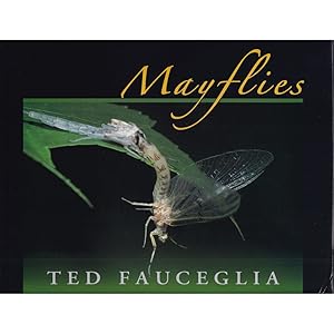 Seller image for MAYFLIES: MAJOR EASTERN AND MIDWESTERN HATCHES. By Ted Fauceglia. for sale by Coch-y-Bonddu Books Ltd