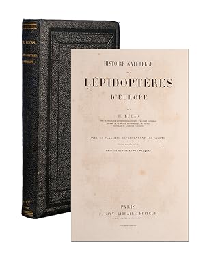 Histoire Naturelle des Lepidopteres d'Europe par H. Lucas