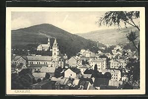 Ansichtskarte Graslitz, Teilansicht mit Kirchen