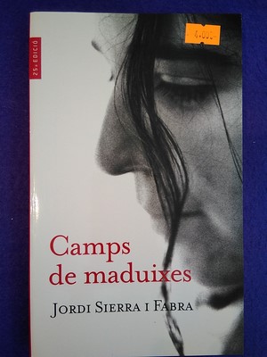 Camps de maduixes