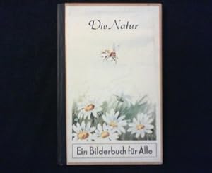 Bild des Verkufers fr Blumen sehen Dich an. Ein Bilderbuch aus der Serie "Die Natur". Band 1. zum Verkauf von Antiquariat Matthias Drummer