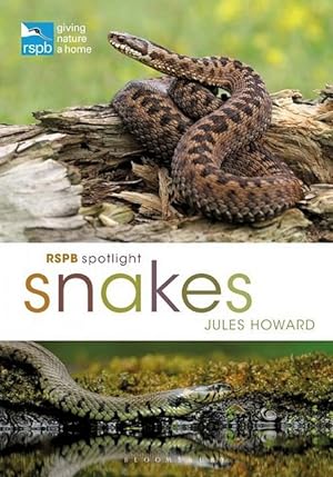 RSBP Spotlight: Snakes.