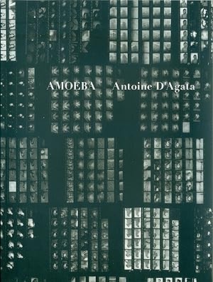 Seller image for Amoeba for sale by Studio Bibliografico Marini