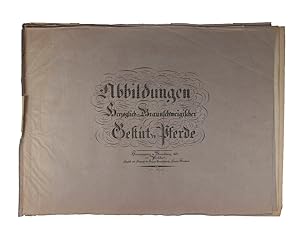 Abbildungen Herzoglich-Braunschweigischer Gestüt-Pferde  1tes Heft.Braunschweig, 1827-1828. Oblo...