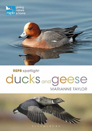 Seller image for RSPB Spotlight Ducks and Geese (Paperback) for sale by Grand Eagle Retail