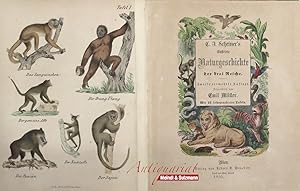 Bild des Verkufers fr Illustrirte Naturgeschichte der drei Reiche. 2. vermehrte Auflage. Umgearbeitet von Emil Mller. zum Verkauf von Antiquariat MEINDL & SULZMANN OG
