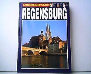 Bild des Verkufers fr Regensburg - Zauber einer Stadt. zum Verkauf von Antiquariat Kirchheim