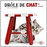 Seller image for Drle De Chat !. for sale by RECYCLIVRE