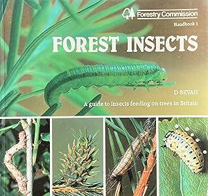 Forest insects