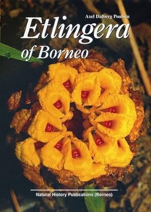 Etlingera of Borneo.