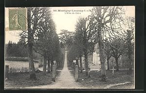 Carte postale Montigny-Lencoup, L`Allée du Cèdre, Zedern-Allee