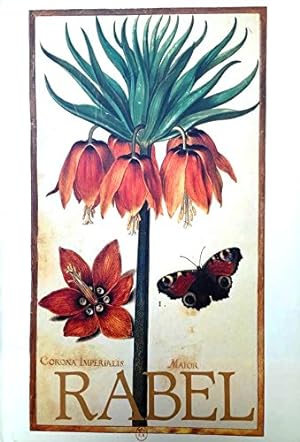 Daniel Rabel / cent fleurs et insectes / Collection Bibliotheque nationale, Paris.