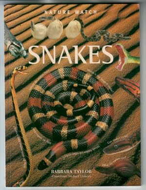 Immagine del venditore per Snakes and Other Reptiles venduto da The Children's Bookshop