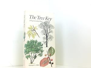 Bild des Verkufers fr The Tree Key zum Verkauf von Book Broker