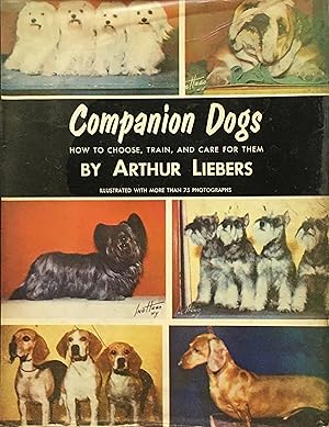 Companion dogs